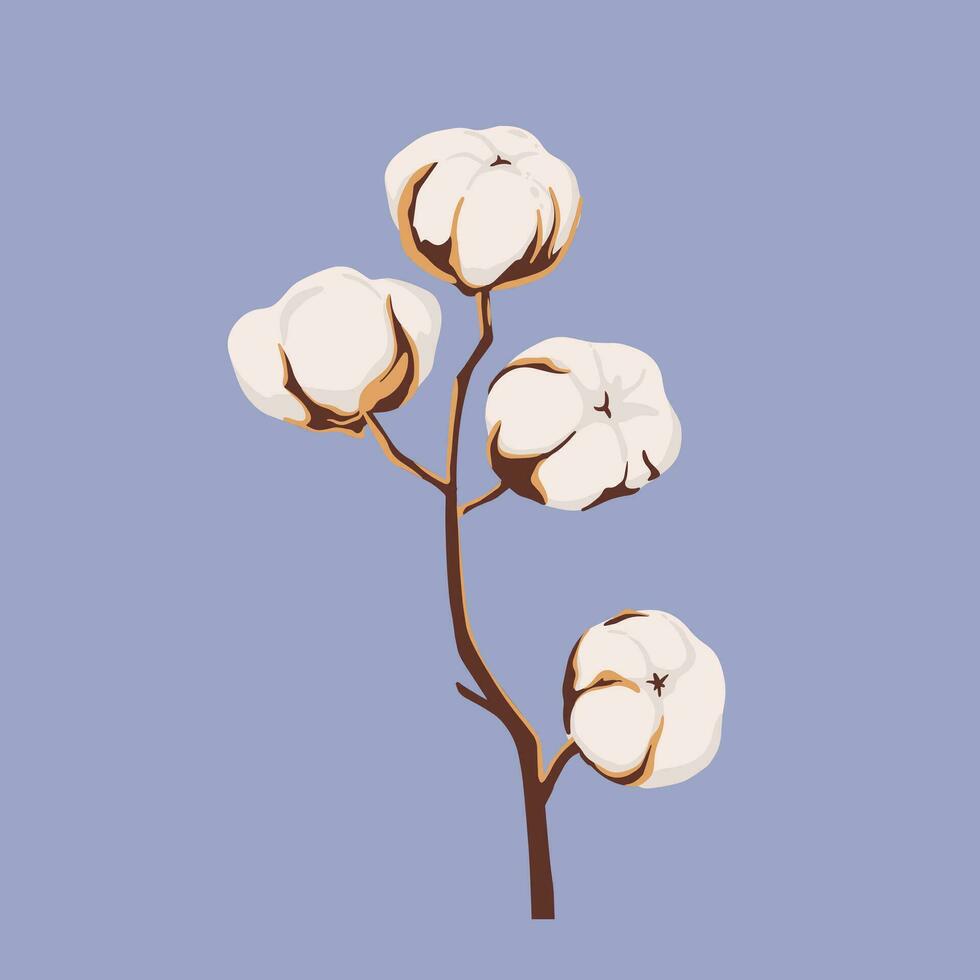 Cotton flower plants, fluffy balls. Hand drawn Vector illustration in flat style. Pastel colors