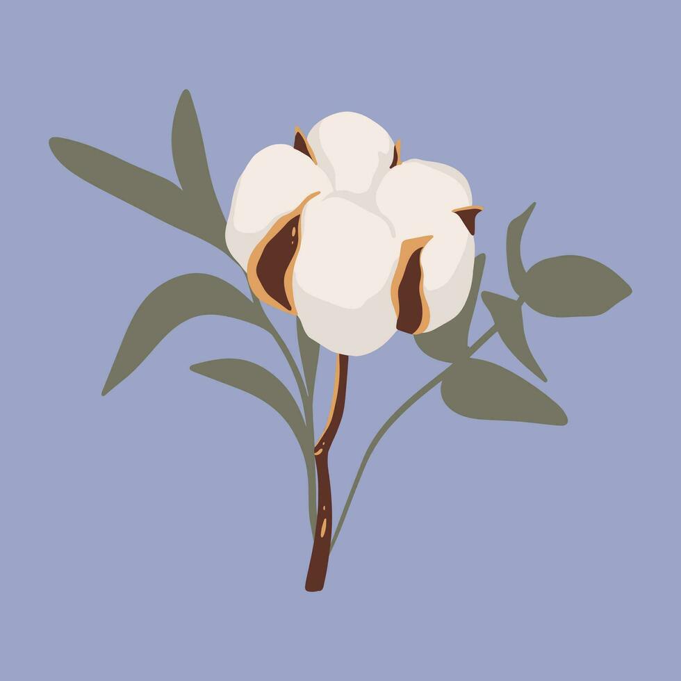 algodón flor plantas, mullido pelotas. mano dibujado vector ilustración en plano estilo. pastel colores