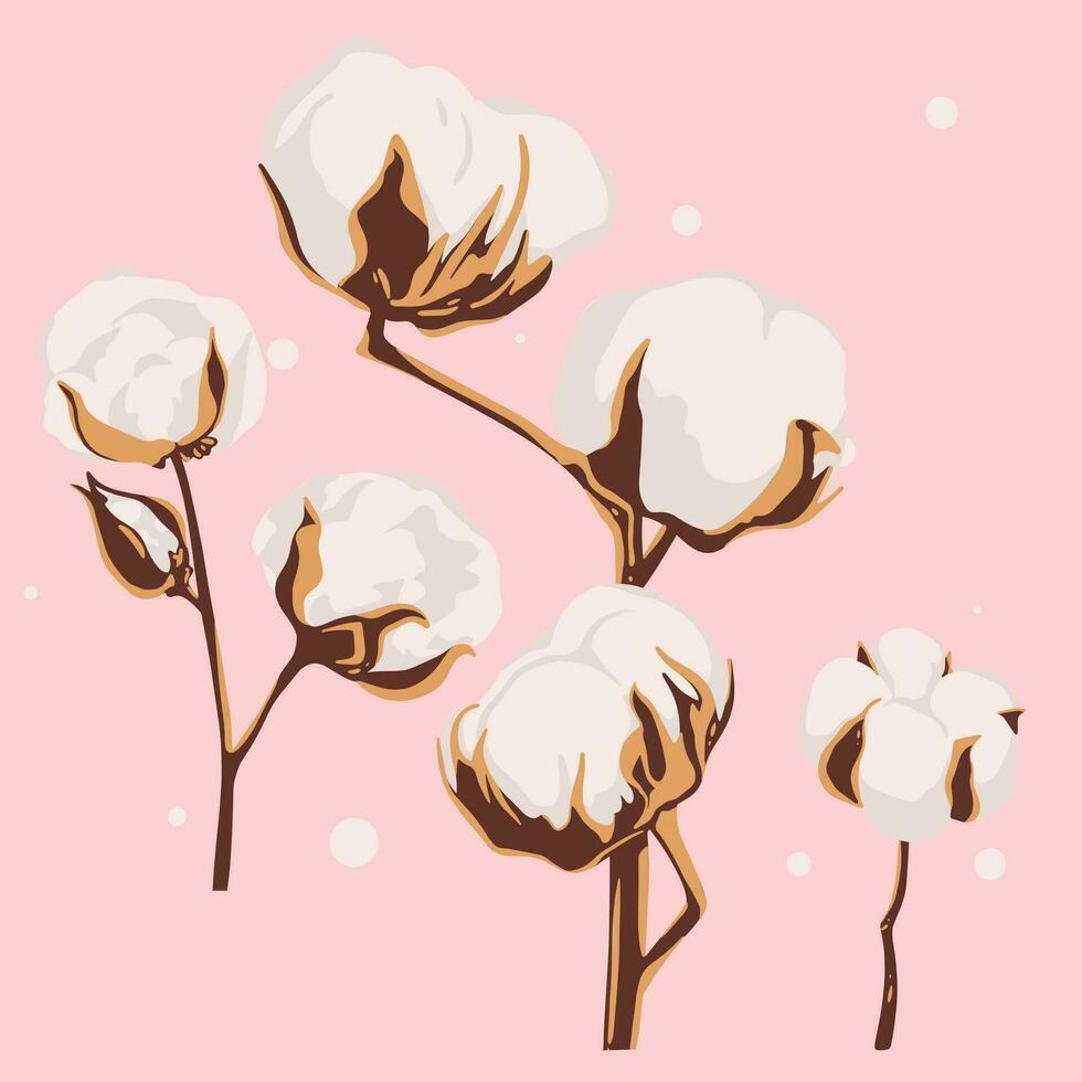 Set of cotton flowers. Vector hand drawn botanical illustration.