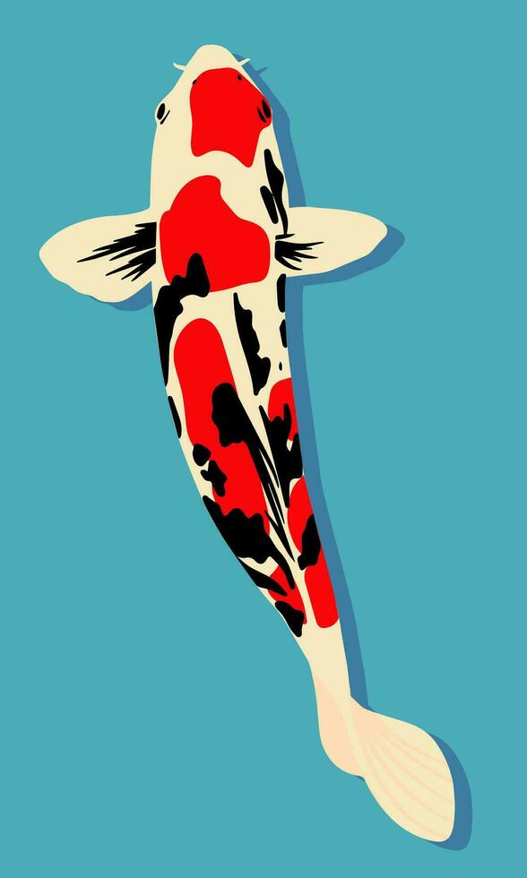 Koi fish. Vector illustration in flat style