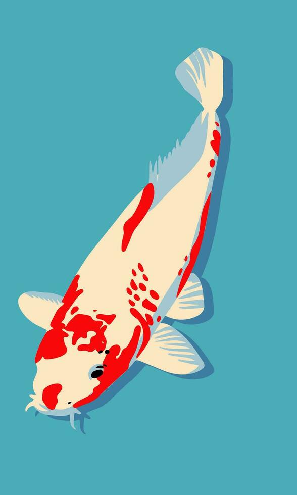 Koi fish. Vector illustration in flat style