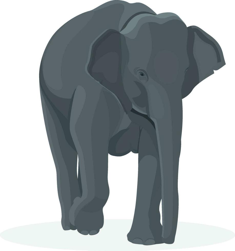 Elephant walking illustration, animals, Elephant at the zoo vector