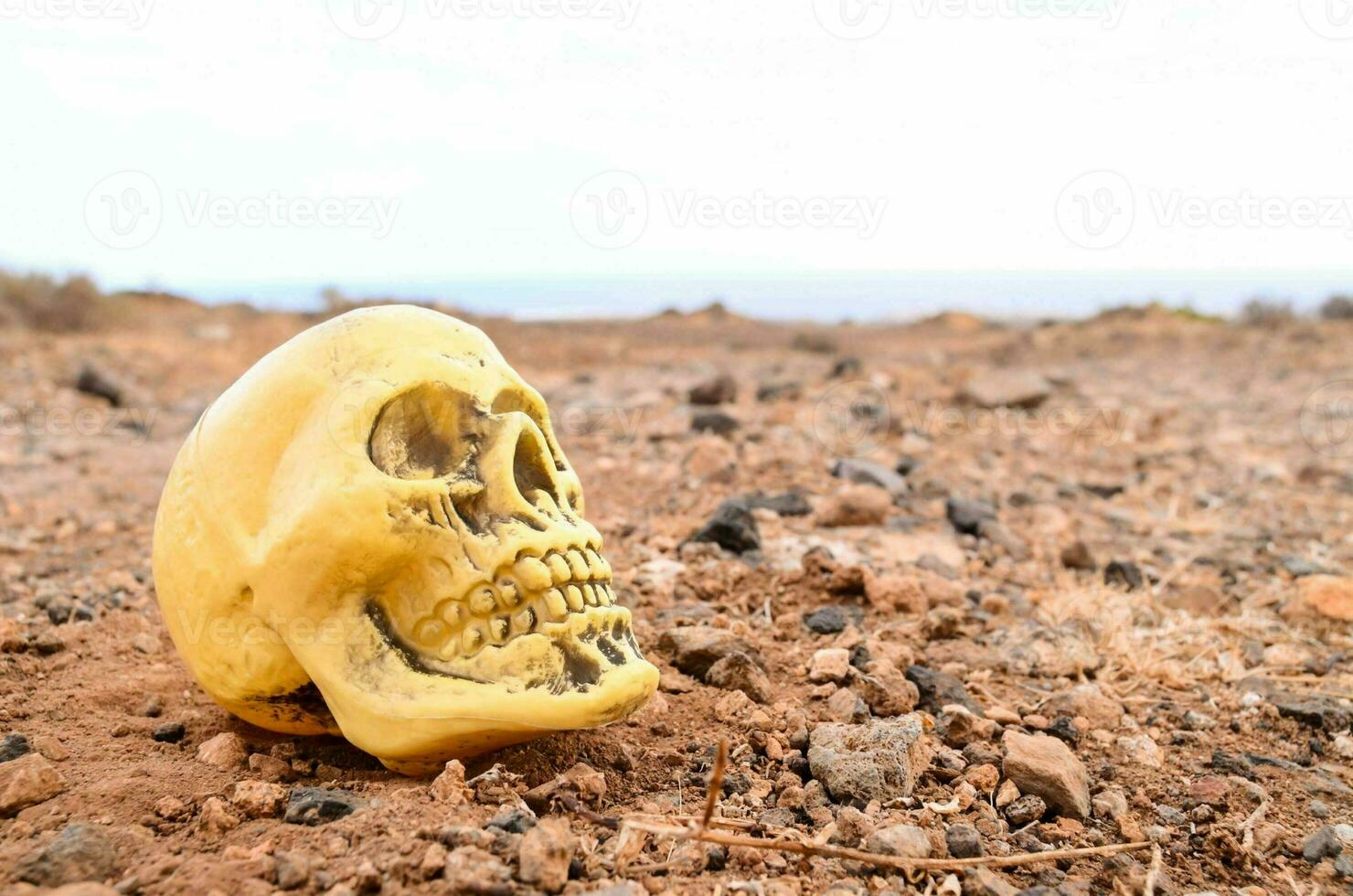 a yellow skull sitting on the ground in a desert photo