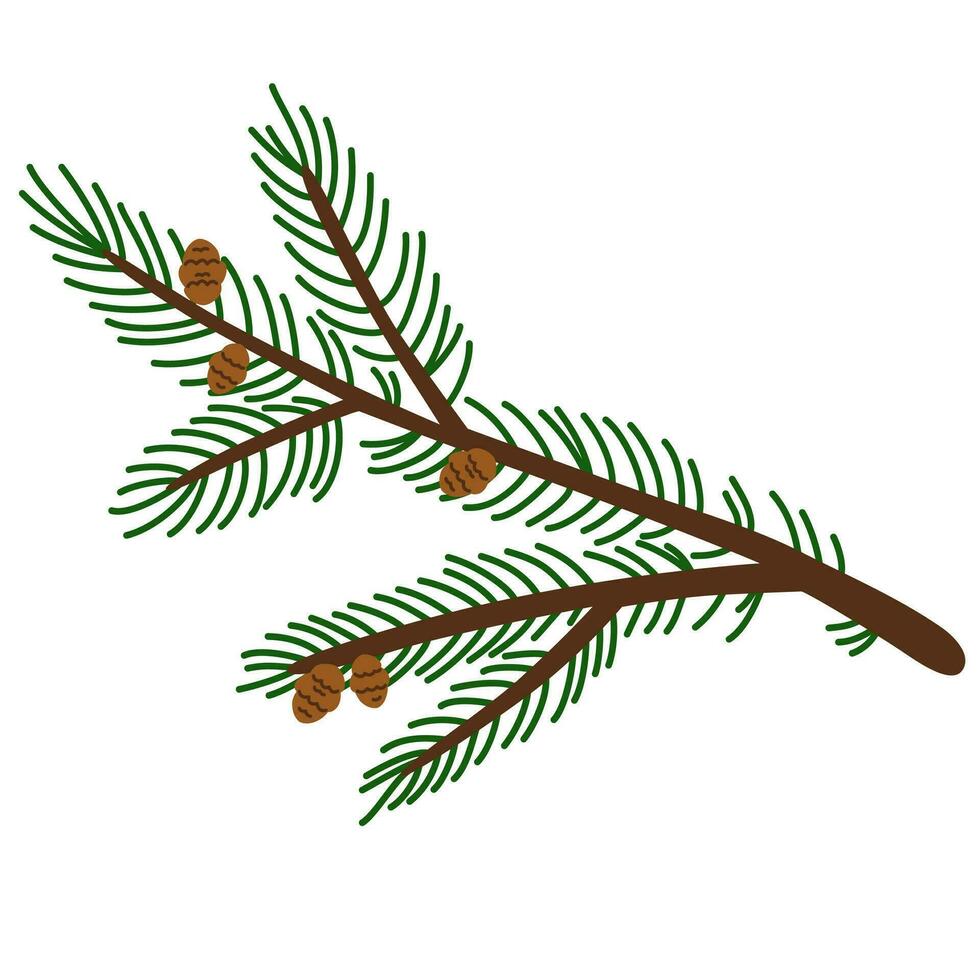 Fir tree branch. Spruce twig, conifer plant with green needles, wood cone. Winter seasonal coniferous sprig. Christmas holiday natural element. Flat vector illustration isolated on white background