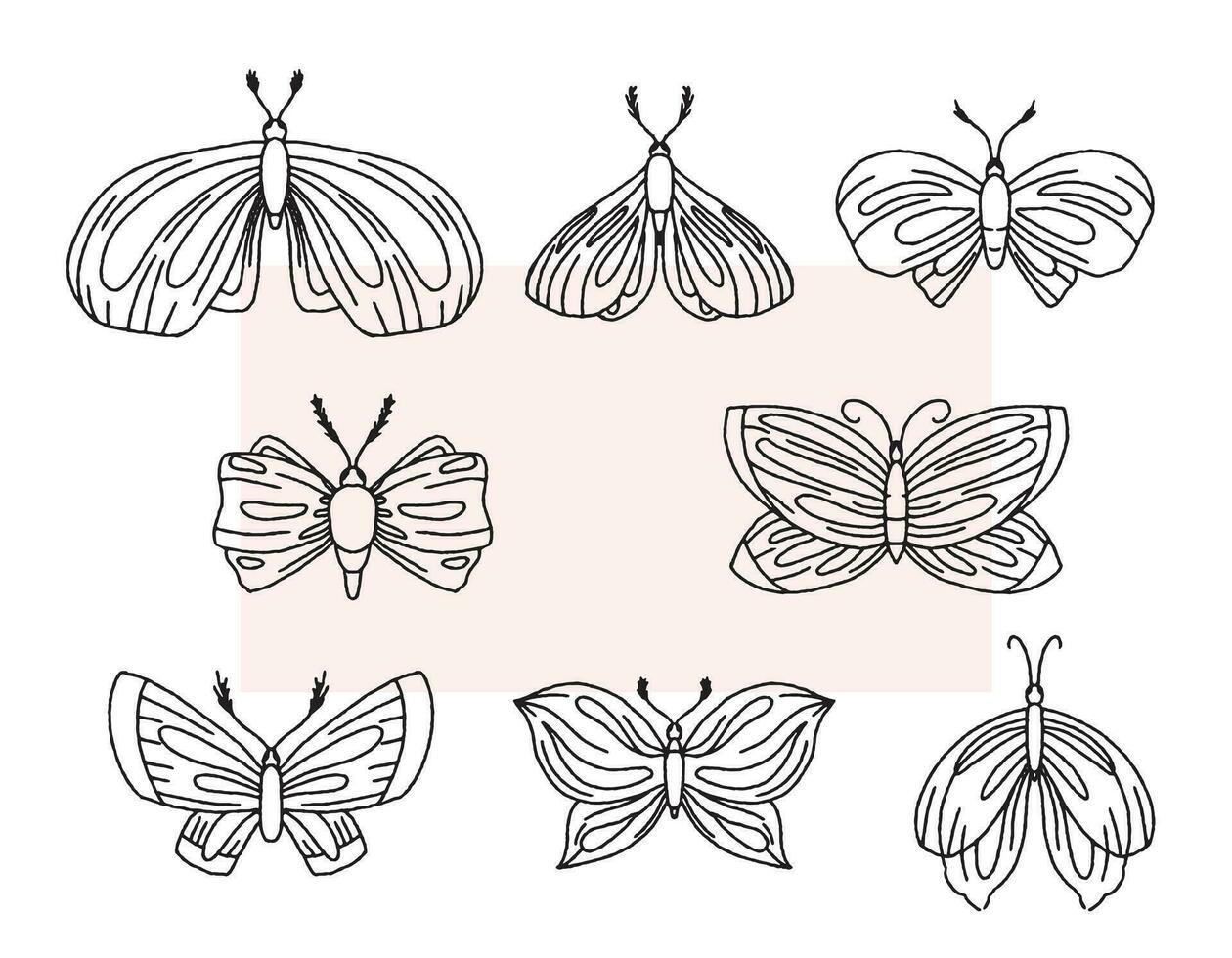 Set of vector insect moths, illustration in line style, doodle vector. Isolated butterfly collection.