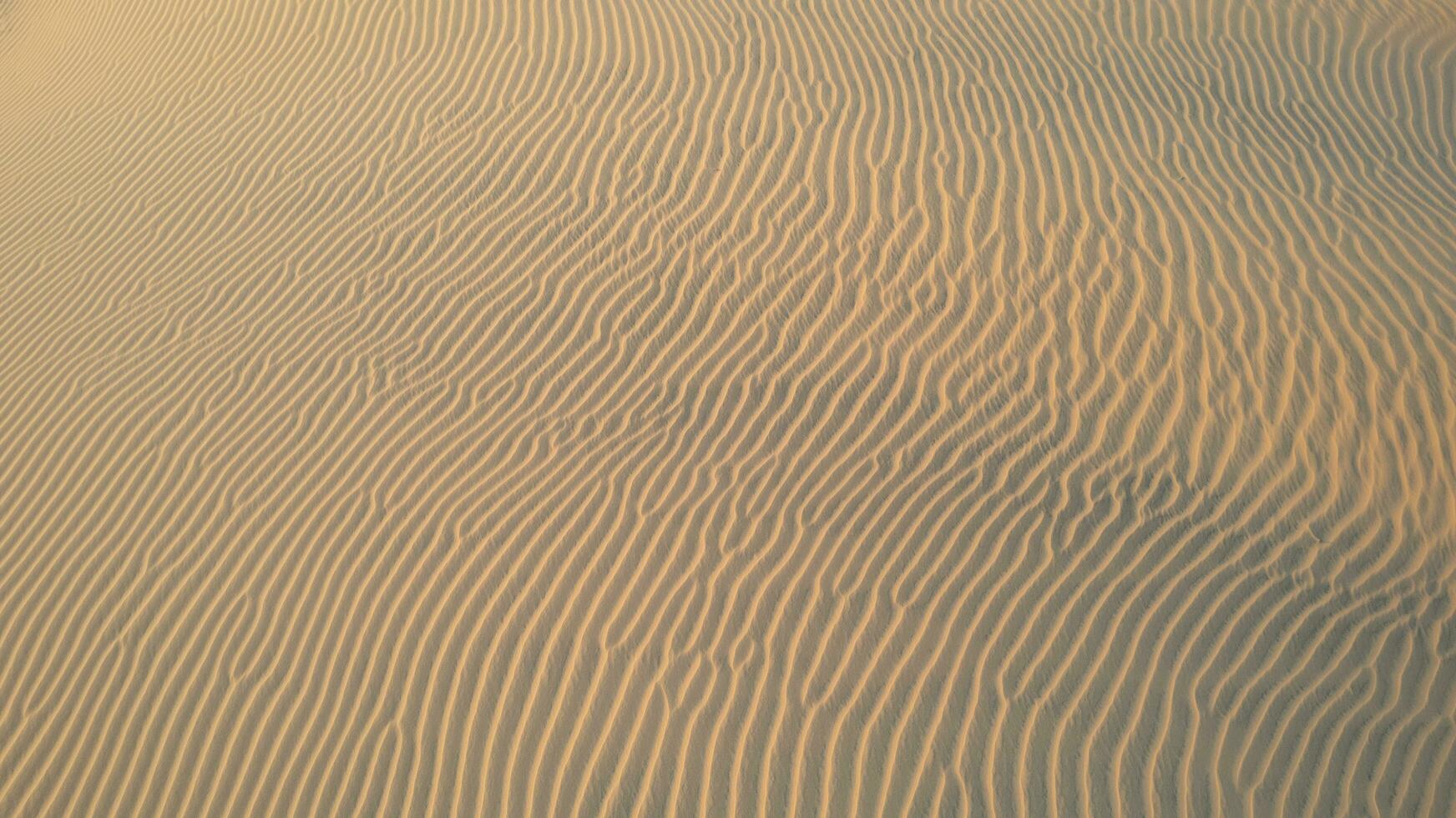 Vietnam red sand dunes golden hour photo