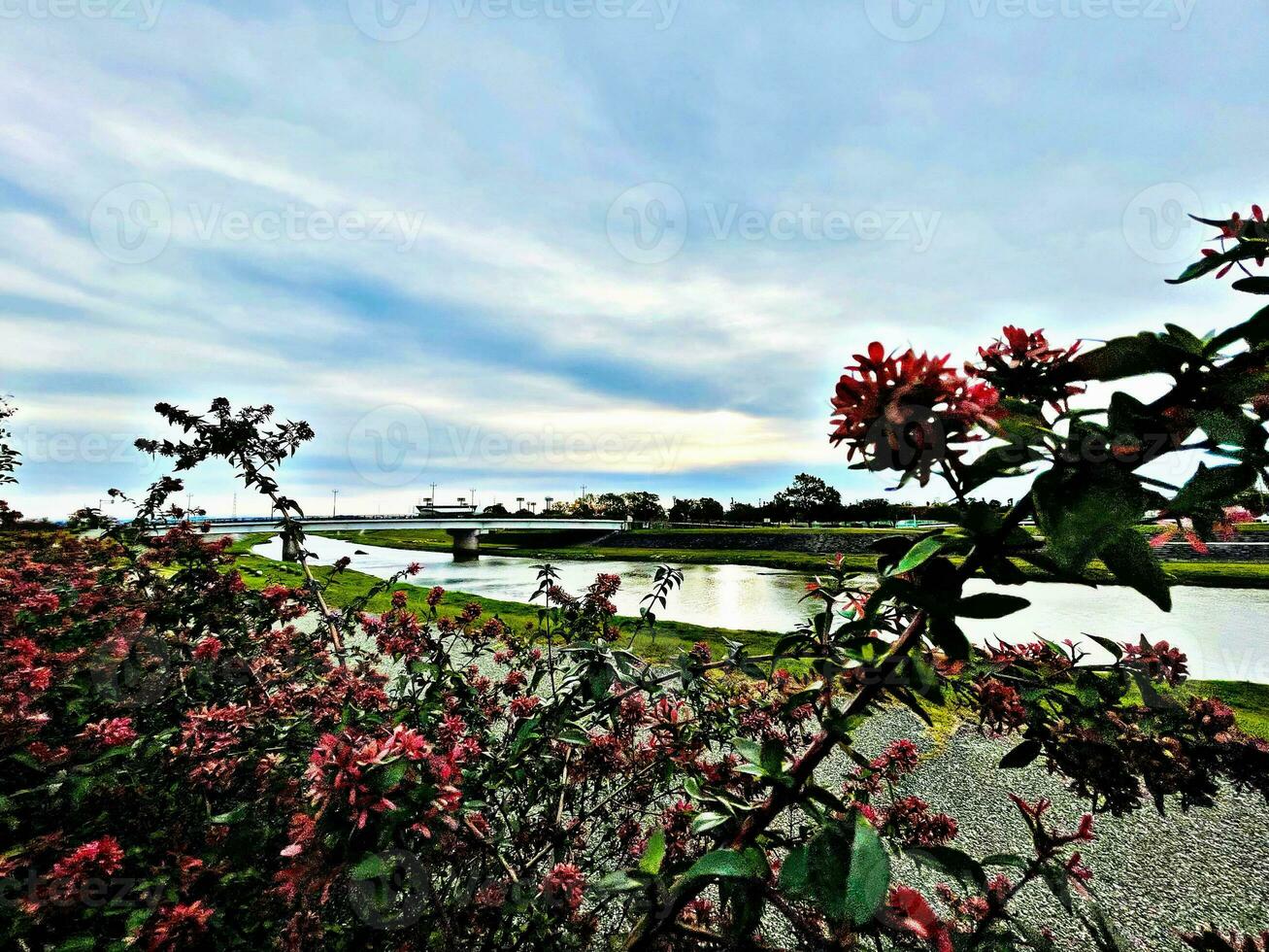 the weather in the morning with a view of a small river and slightly shy sunlight photo