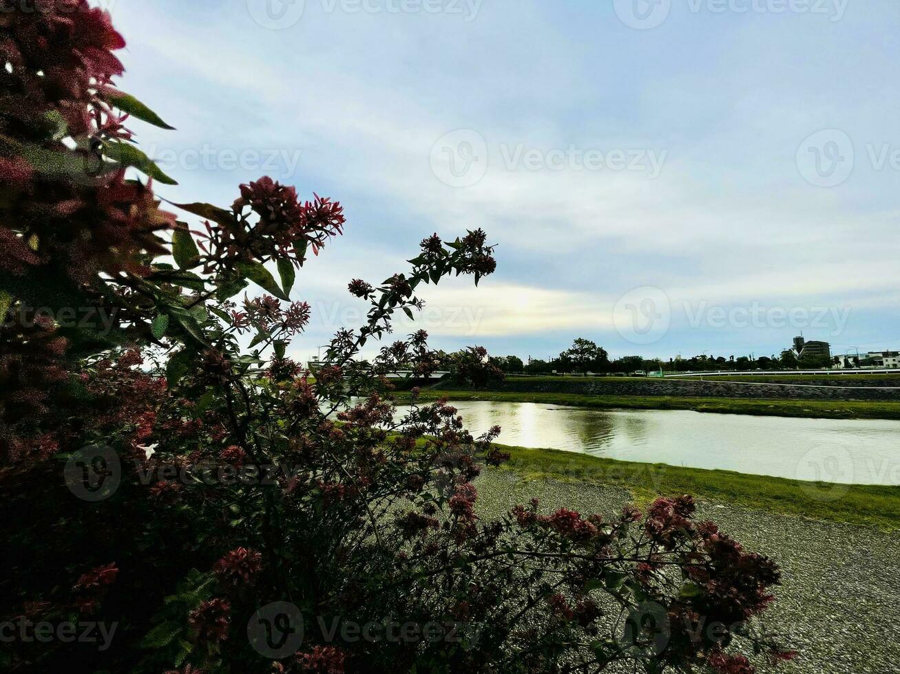 the weather in the morning with a view of a small river and slightly shy sunlight photo