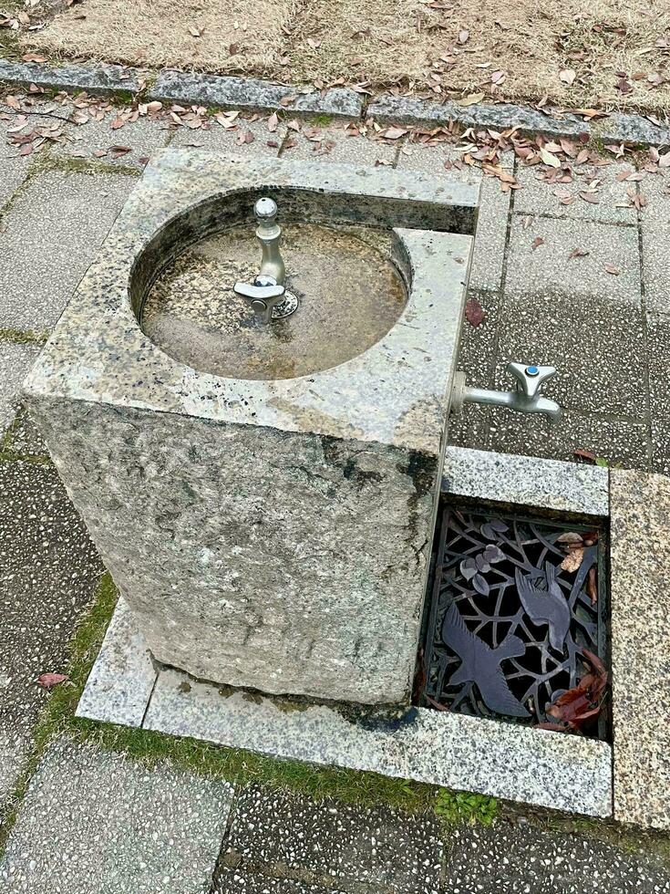 Bebiendo agua y Lavado mano grifos en parque, público zona foto