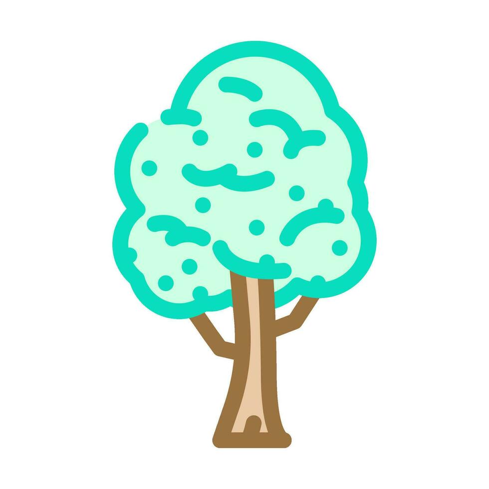 padauk árbol selva Amazonas color icono vector ilustración