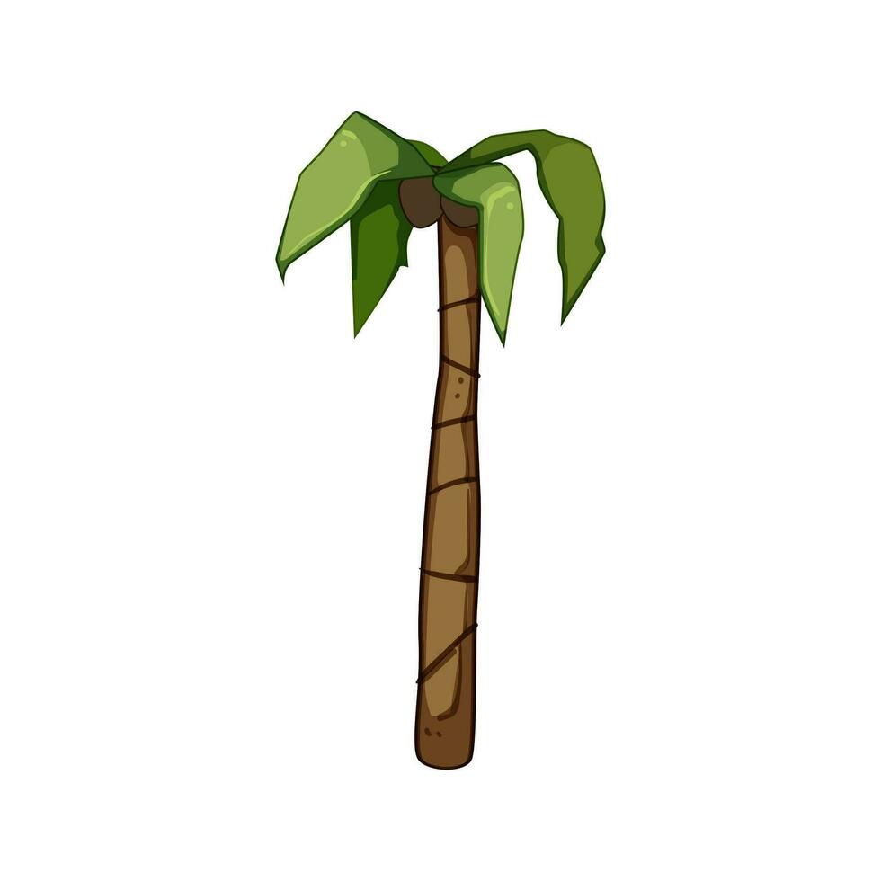 exotic palm coconut cartoon vector illustration