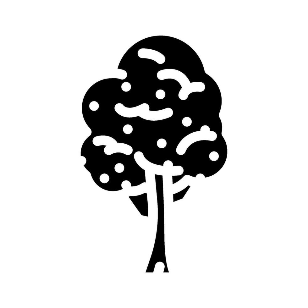 padauk tree jungle amazon glyph icon vector illustration
