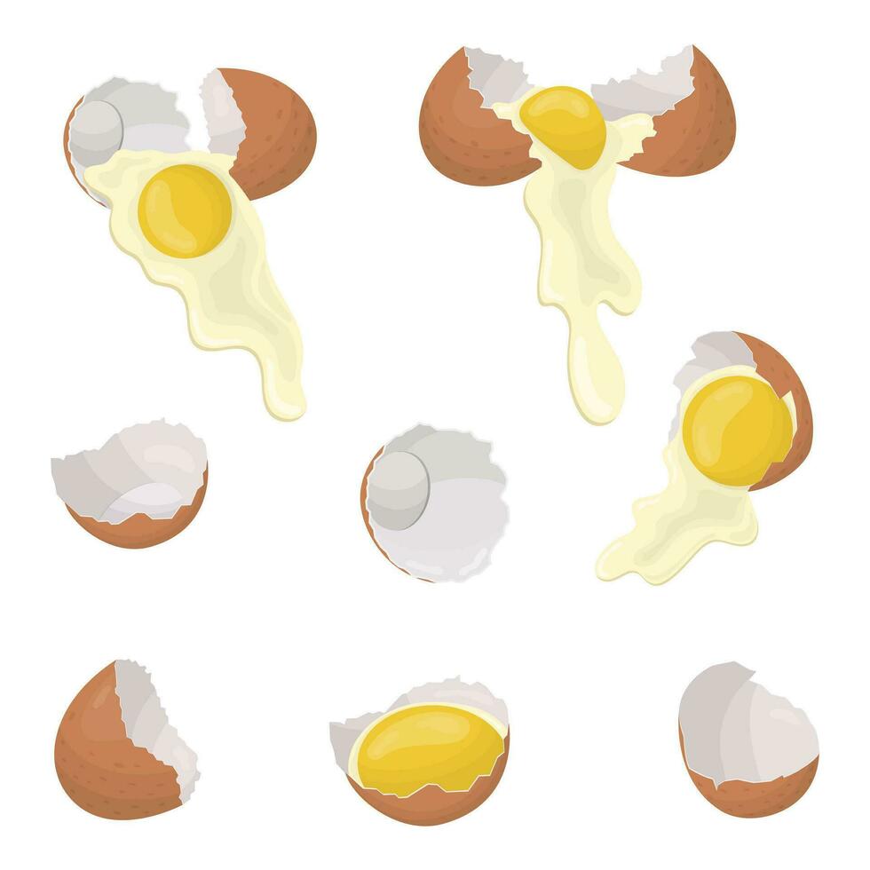 A set of chicken eggs. Raw eggs flow out of the shell. Vector illustration