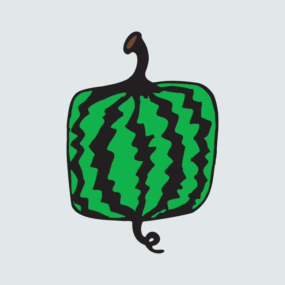 Whole Watermelon. Water Melon. Watermelon vector illustration. Isolated on a gray background. Doodle icon