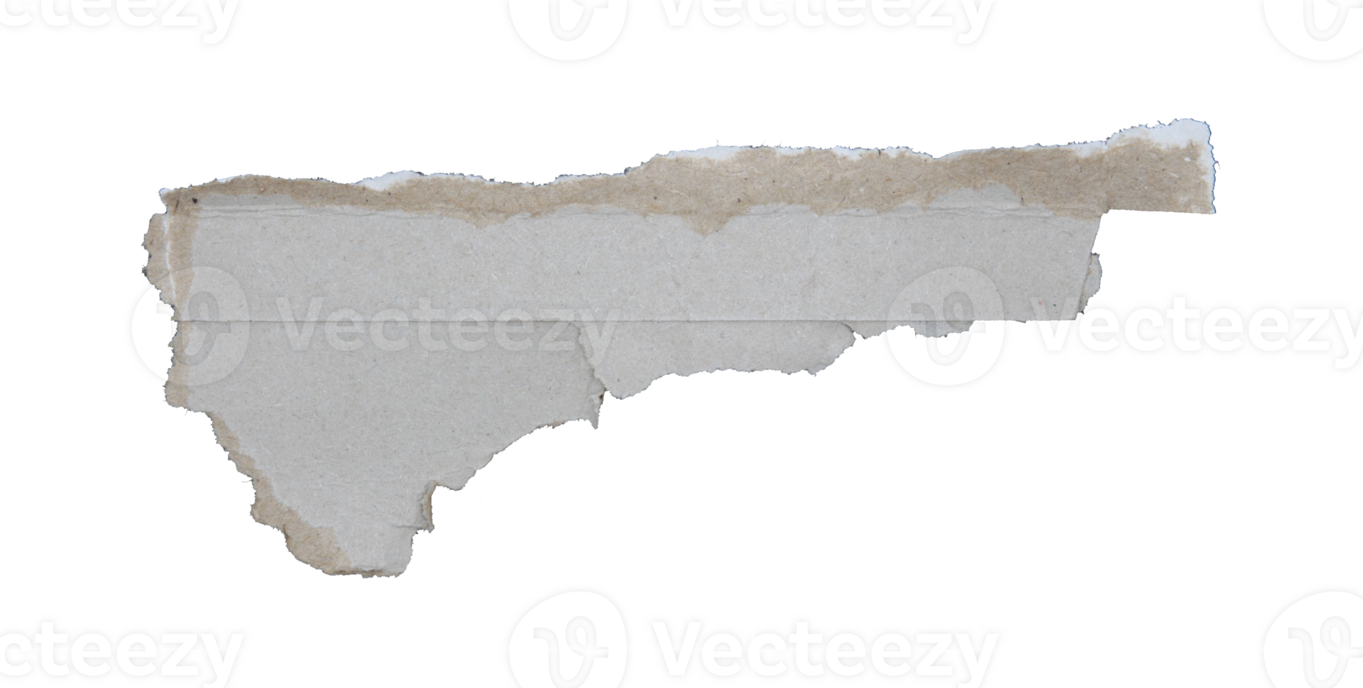 Pieces of torn scrapbook paper on transparent background png file
