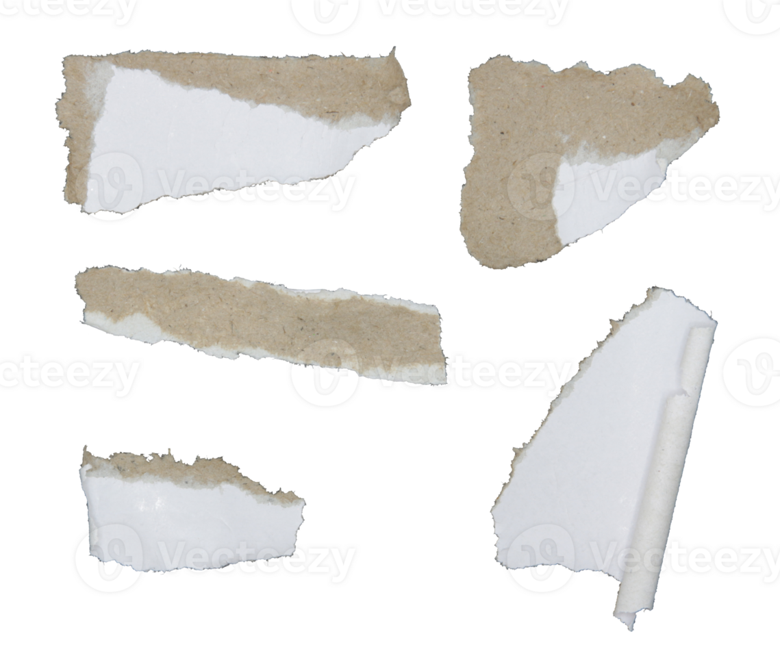 Pieces of torn scrapbook paper on transparent background png file