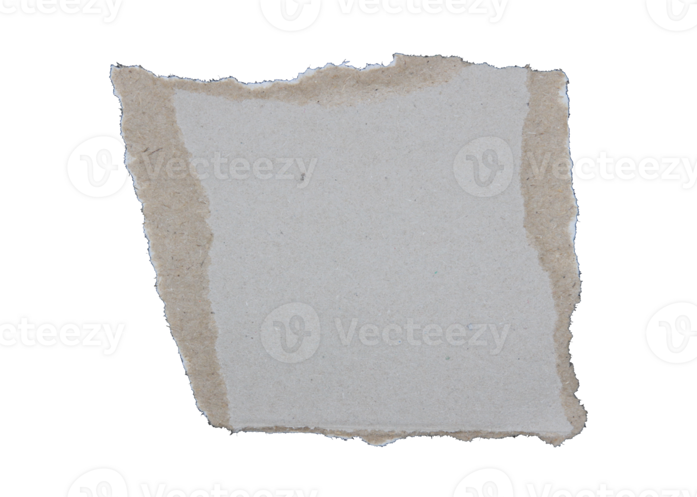 Pieces of torn scrapbook paper on transparent background png file