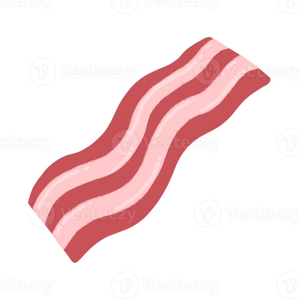 Bacon Cartoon illustration Bacon Hand Drawn png