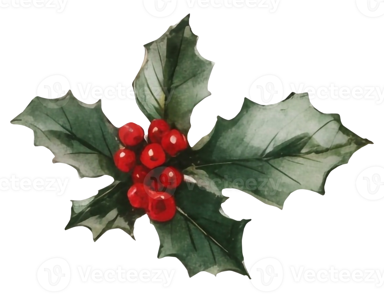 AI generated Christmas Botanicals Capturing Holly and Berries in Watercolor png