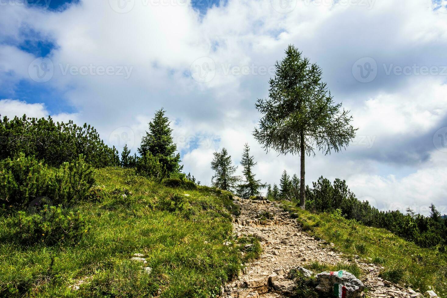 2023 7 29 Ortigara Mount Ortigara 5.jpg photo