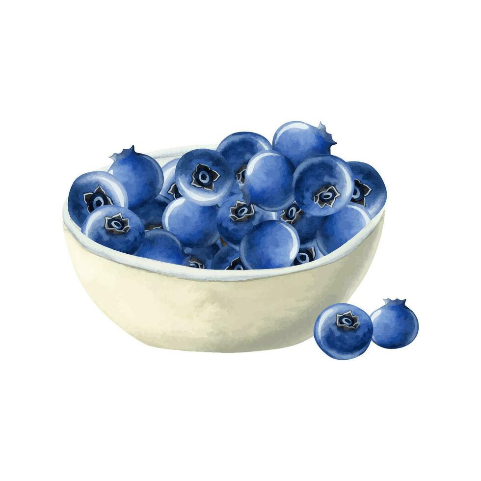 Blueberry bowl with ripe berries watercolor vector illustration for dessert, snack and breakfast designs