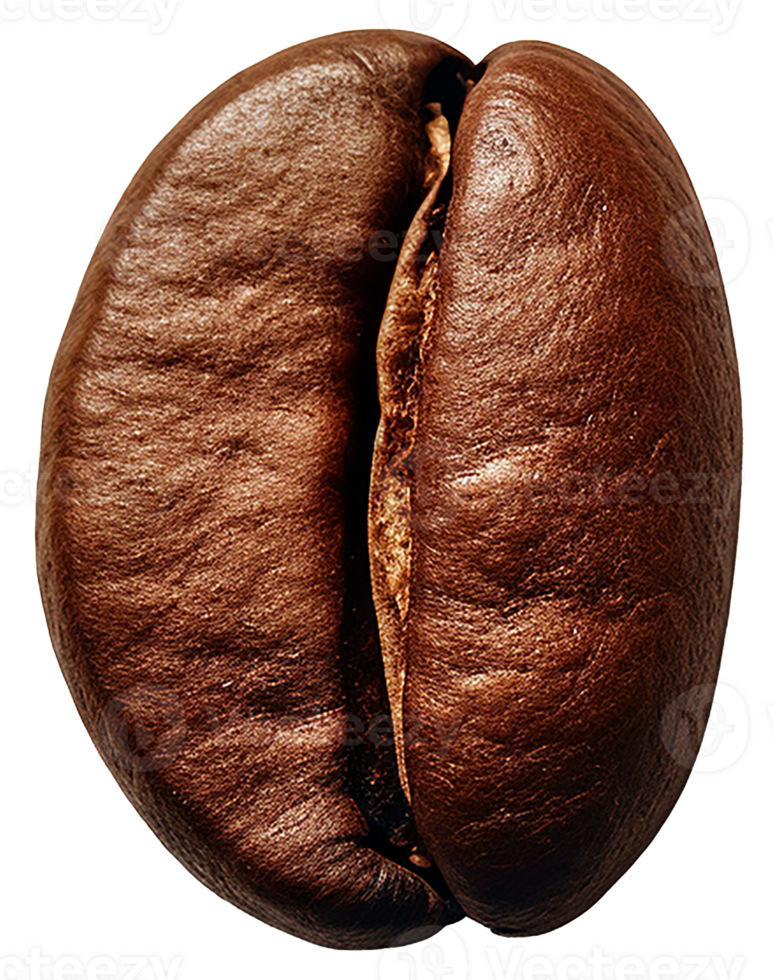 AI generated coffee bean isolated on transparent background png