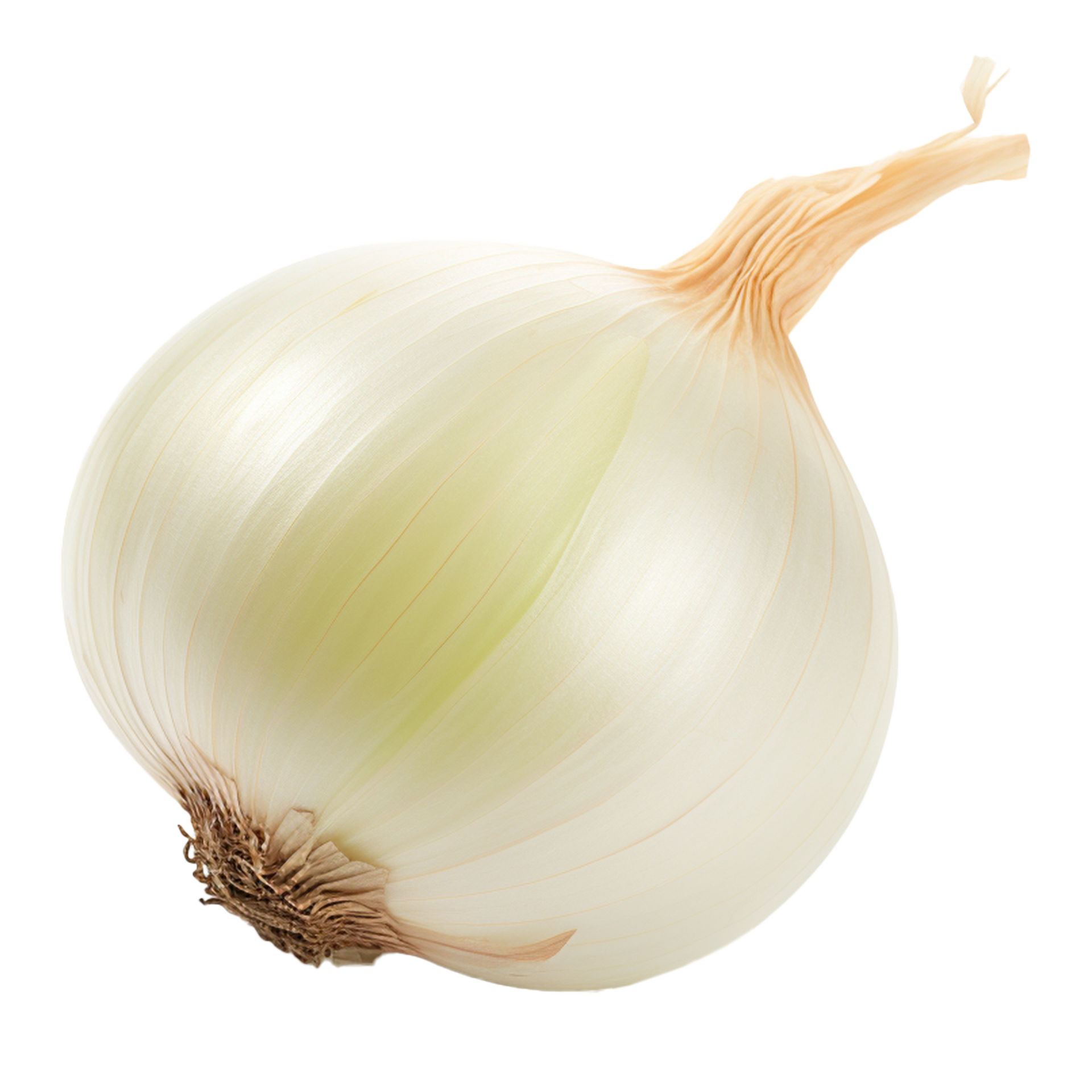 AI generated Isolated single white onion 34917105 PNG