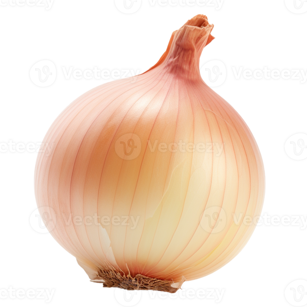 AI generated Isolated single white onion 34917110 PNG