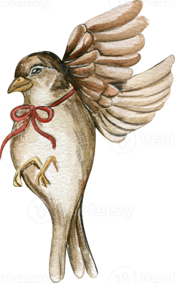 Watercolor bird sparrow. png