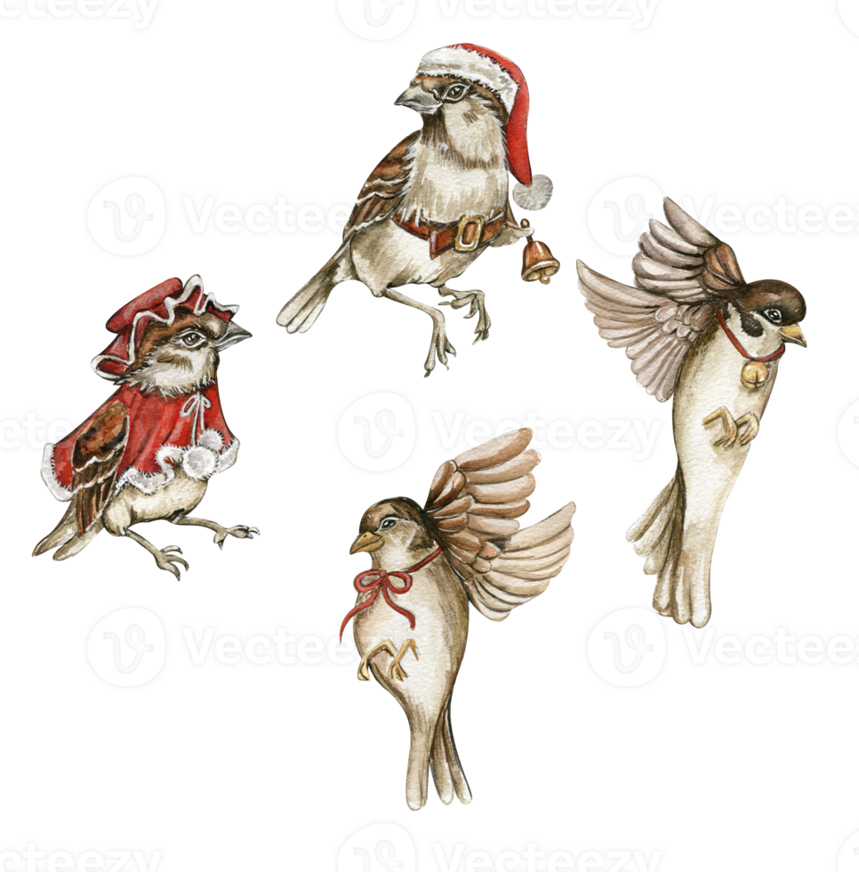 Watercolor bird sparrow in red Christmas hat and coat set. png