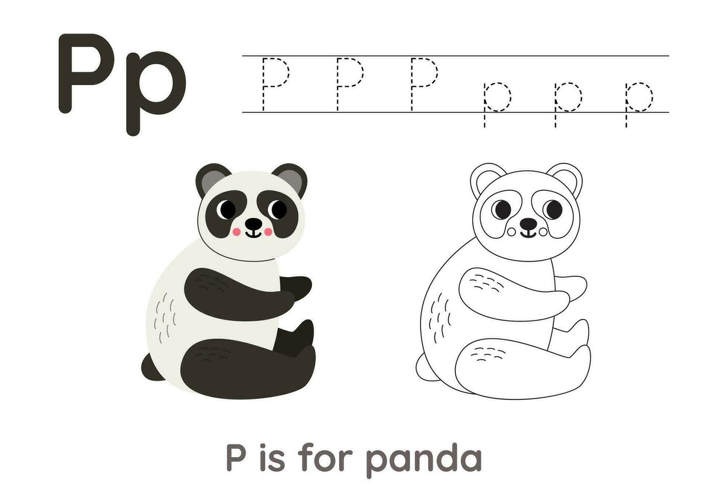 Tracing alphabet letters with cute animals. Color cute panda. Trace letter P. vector