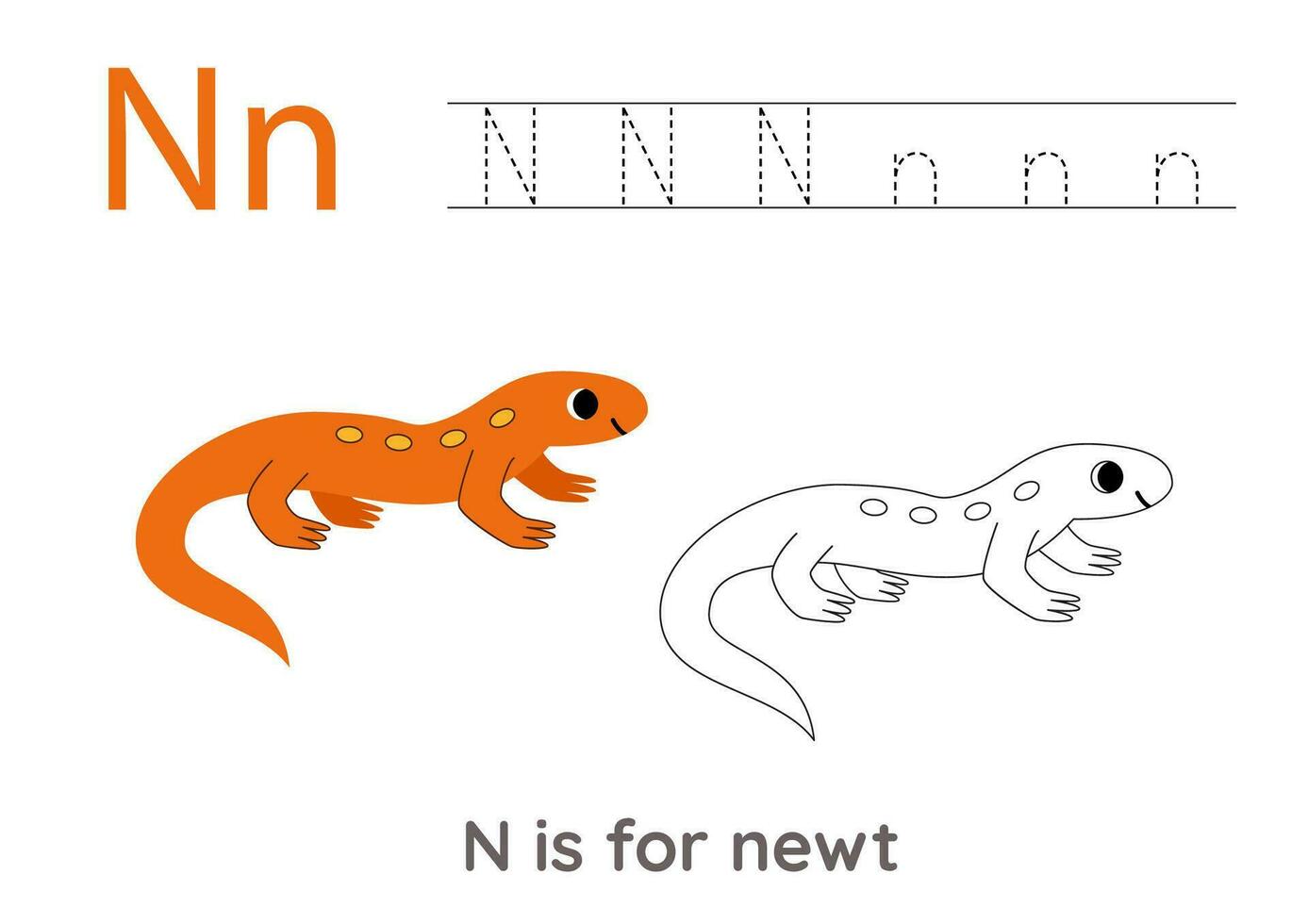 Tracing alphabet letters with cute animals. Color cute newt. Trace letter N. vector