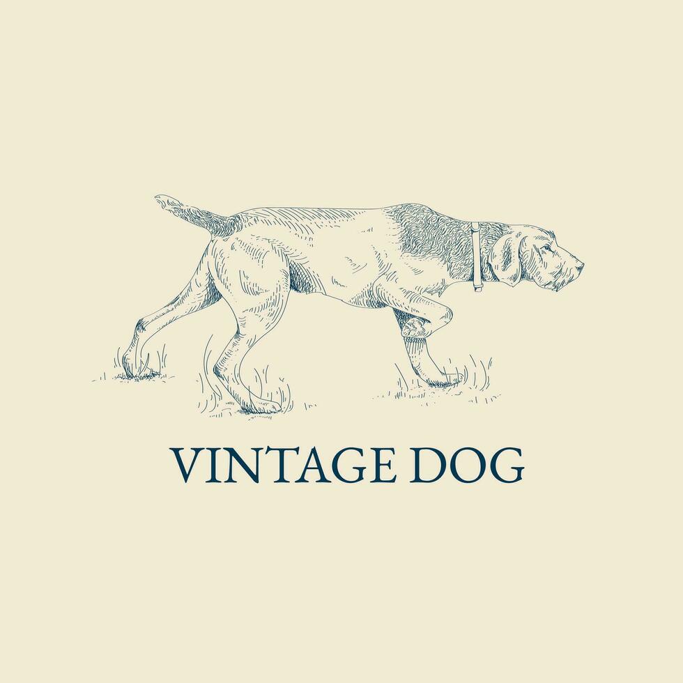 Illustration of a dog in vintage style vector