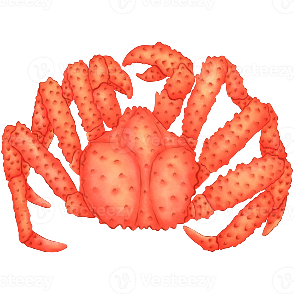 Illustration of an Alaskan crab png
