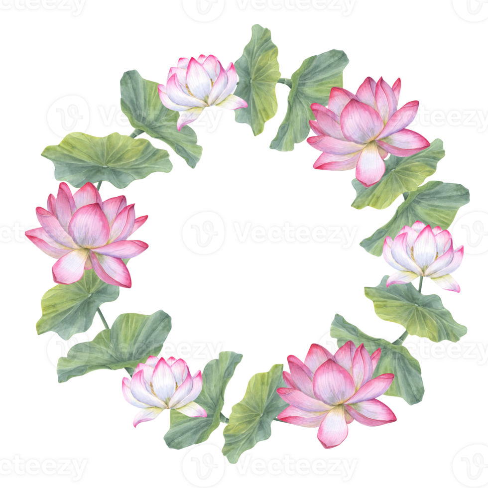 Wreath with blooming pink white lotus, leaves. Water Lily. Indian lotus, green leaf, sacred lotus. Watercolor illustration. Space for text. Hand drawn composition for poster, cards, greeting png