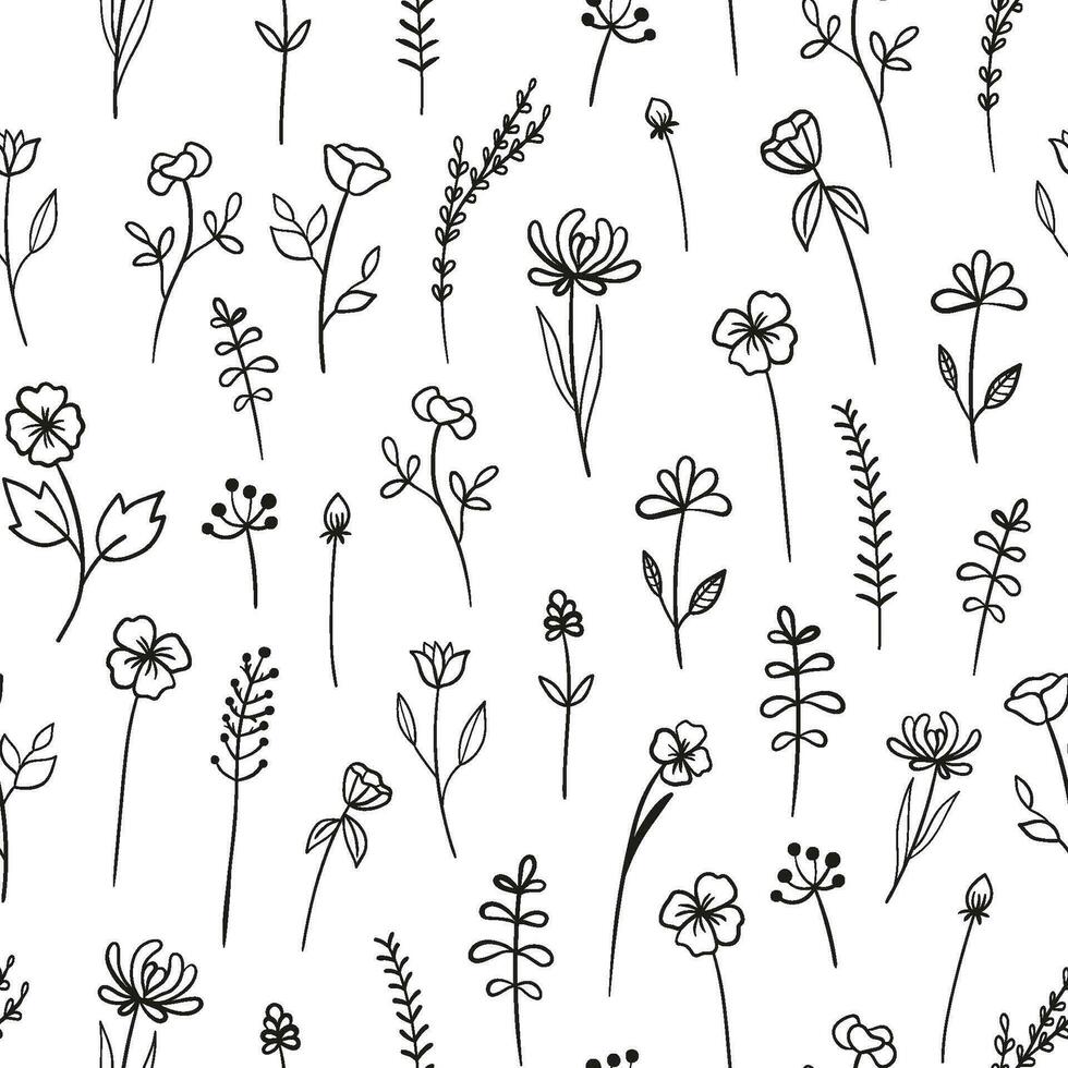 Floral monochrome seamless pattern with line wildflowers. Doodle outline plants on white background vector