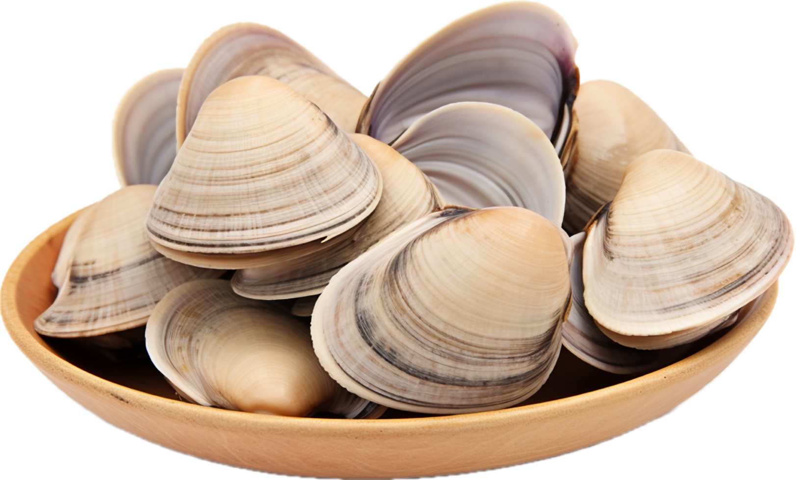 AI Generated Asari Clams Png 34918536 PNG ai-generated-asari-clams-png-34918536-png