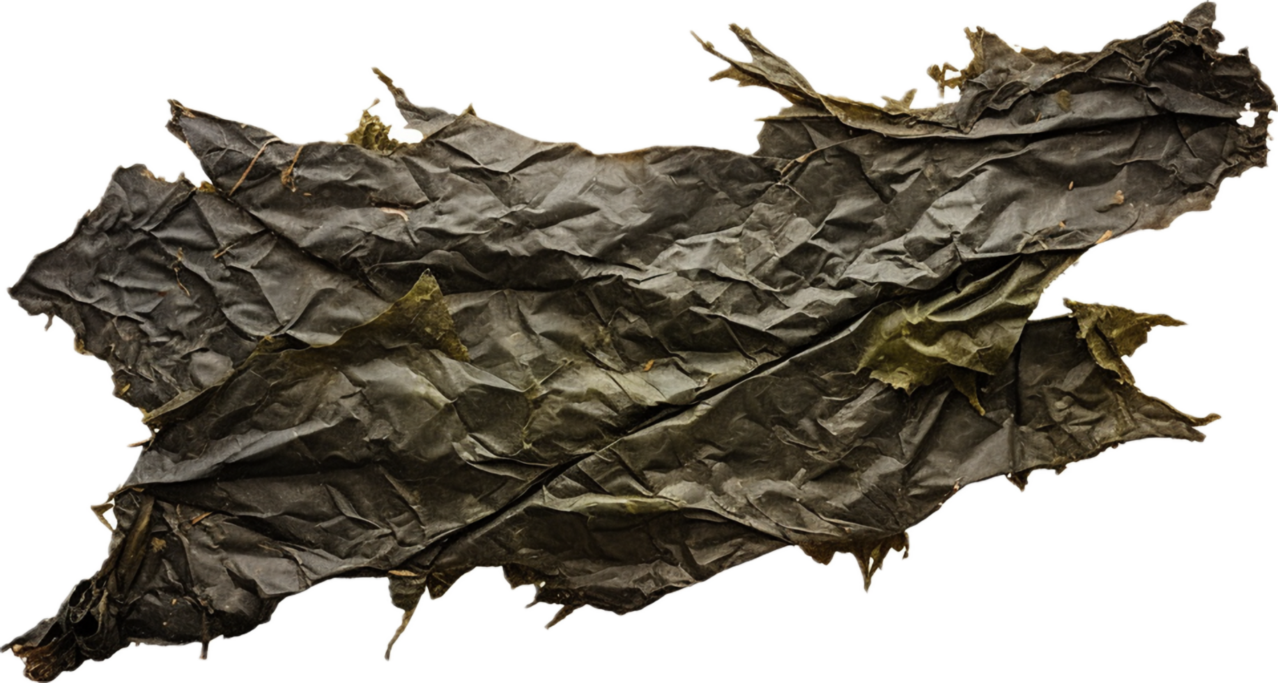 AI generated sheet of dried seaweed png