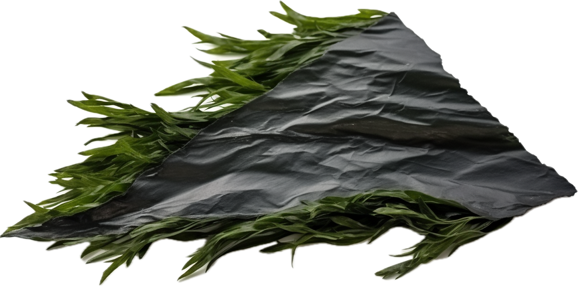 AI generated sheet of dried seaweed png