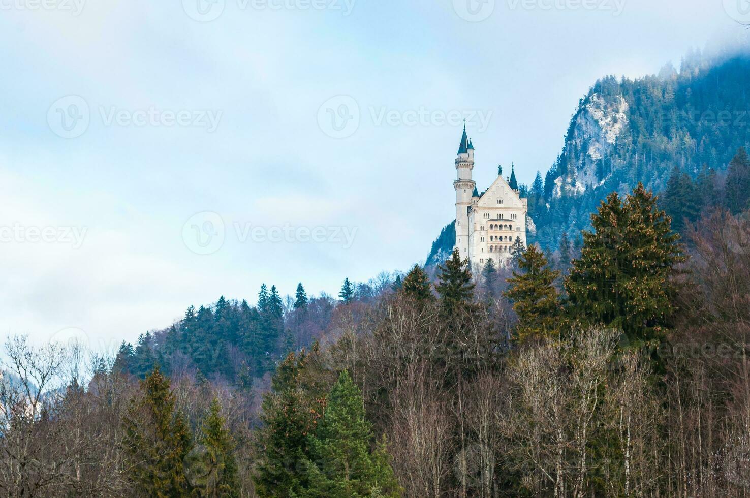 medieval castillo en el medio de el bosque en pie en el parte superior de el montaña foto