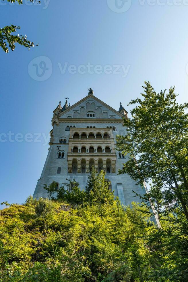Bottom view on the Neuschwanstein castle between the trees photo