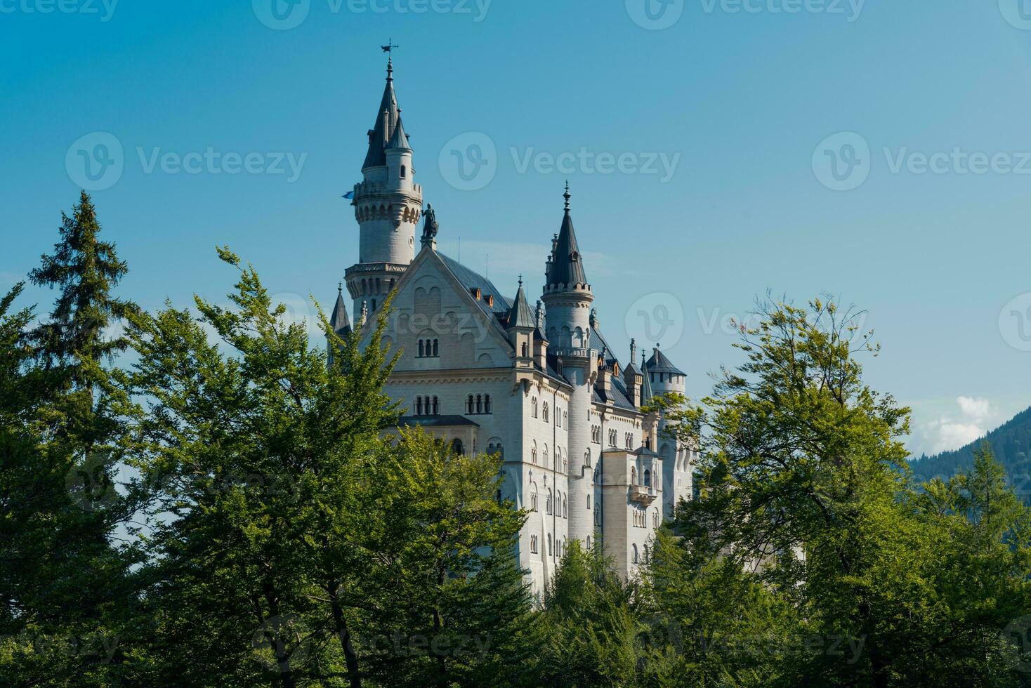 World famous Neuschwanstein castle in the middle of the forest photo