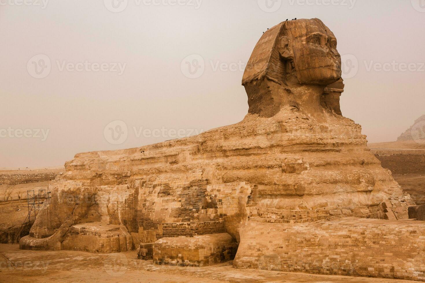 Famous Egyptian Pyramids of Giza. Landscape in Egypt. Pyramid in desert. Africa. Wonder of the World photo