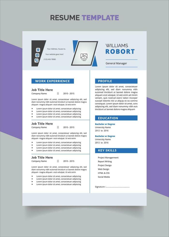 Professional Resume Portfolio CV Template vector
