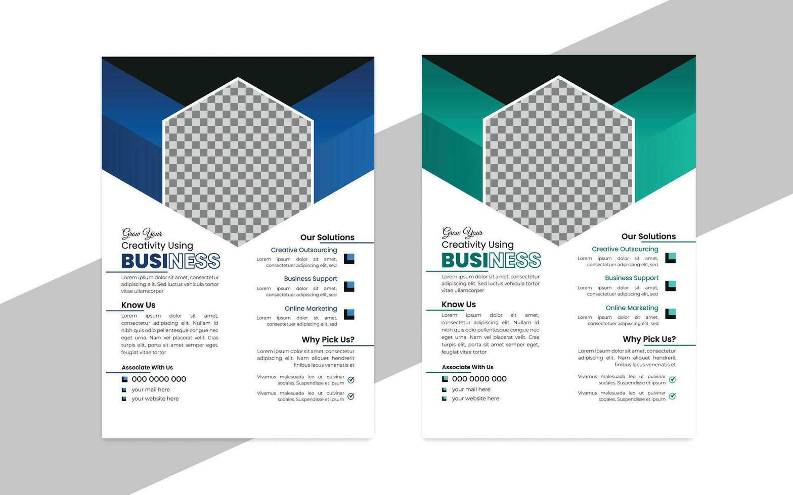 Corporate Business Flyer design template Pro Pamphlet Vector