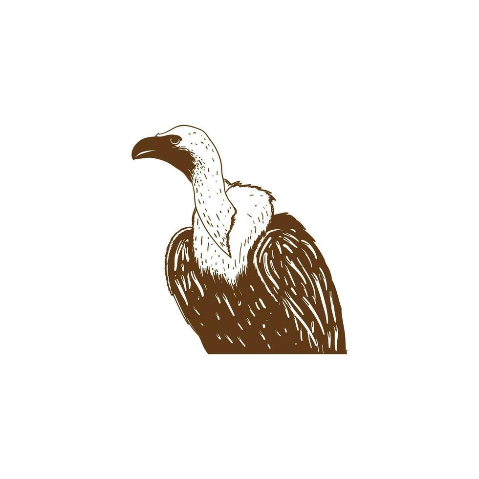 Vintage Retro African Griffon Vulture Bird Predator Icon Illustration vector