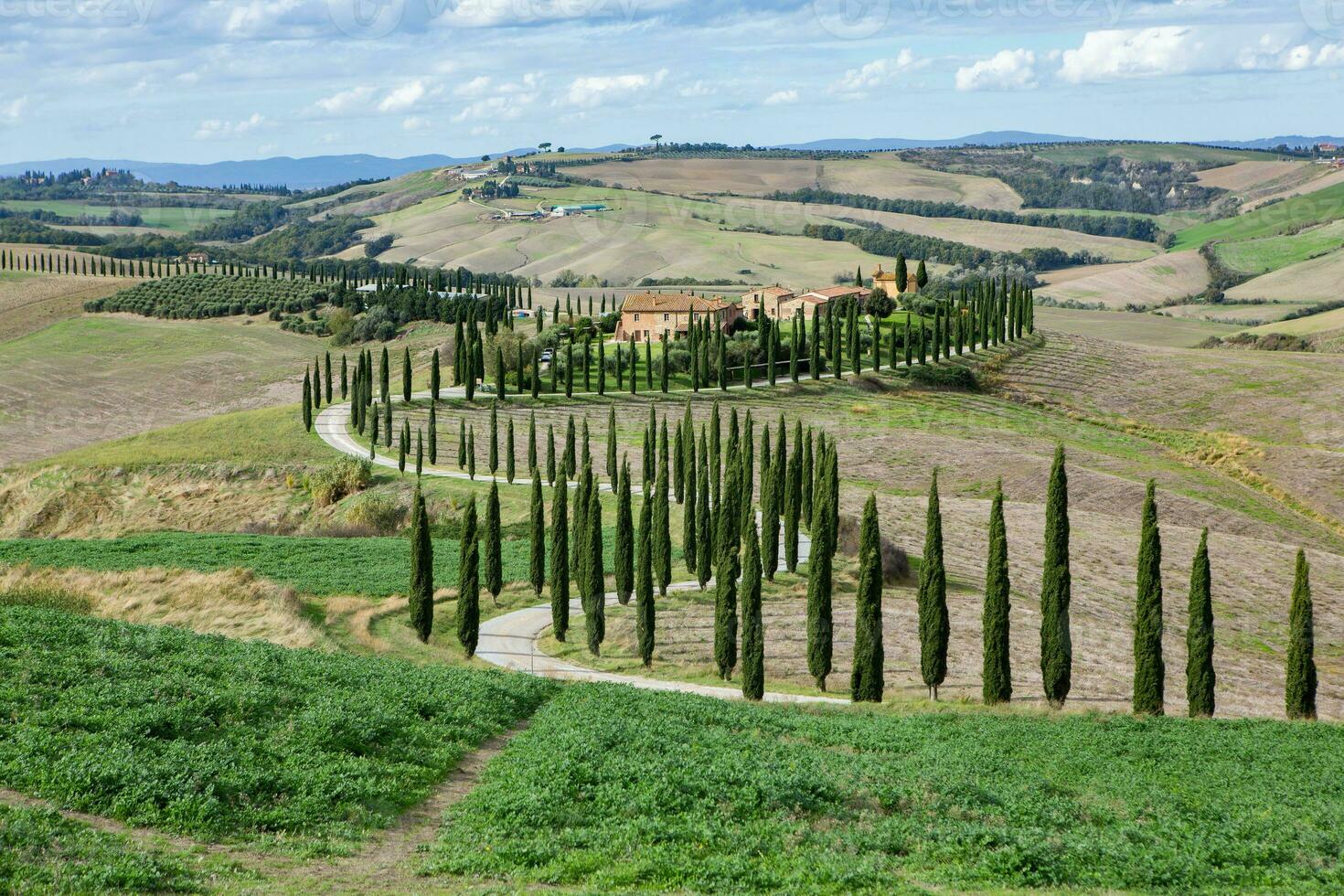Famous Tuscany landscape with curved road and cypress, Italy, Europe. Rural farm, cypress trees, green field, sunlight and cloud. photo