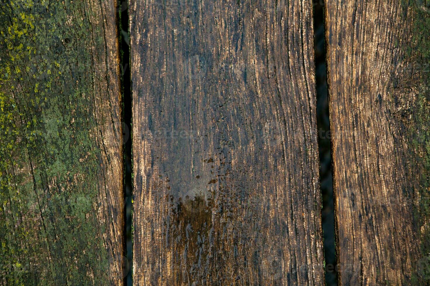 Old wood texture background, surface with old natural colored wood, top view. Grain table surface. photo