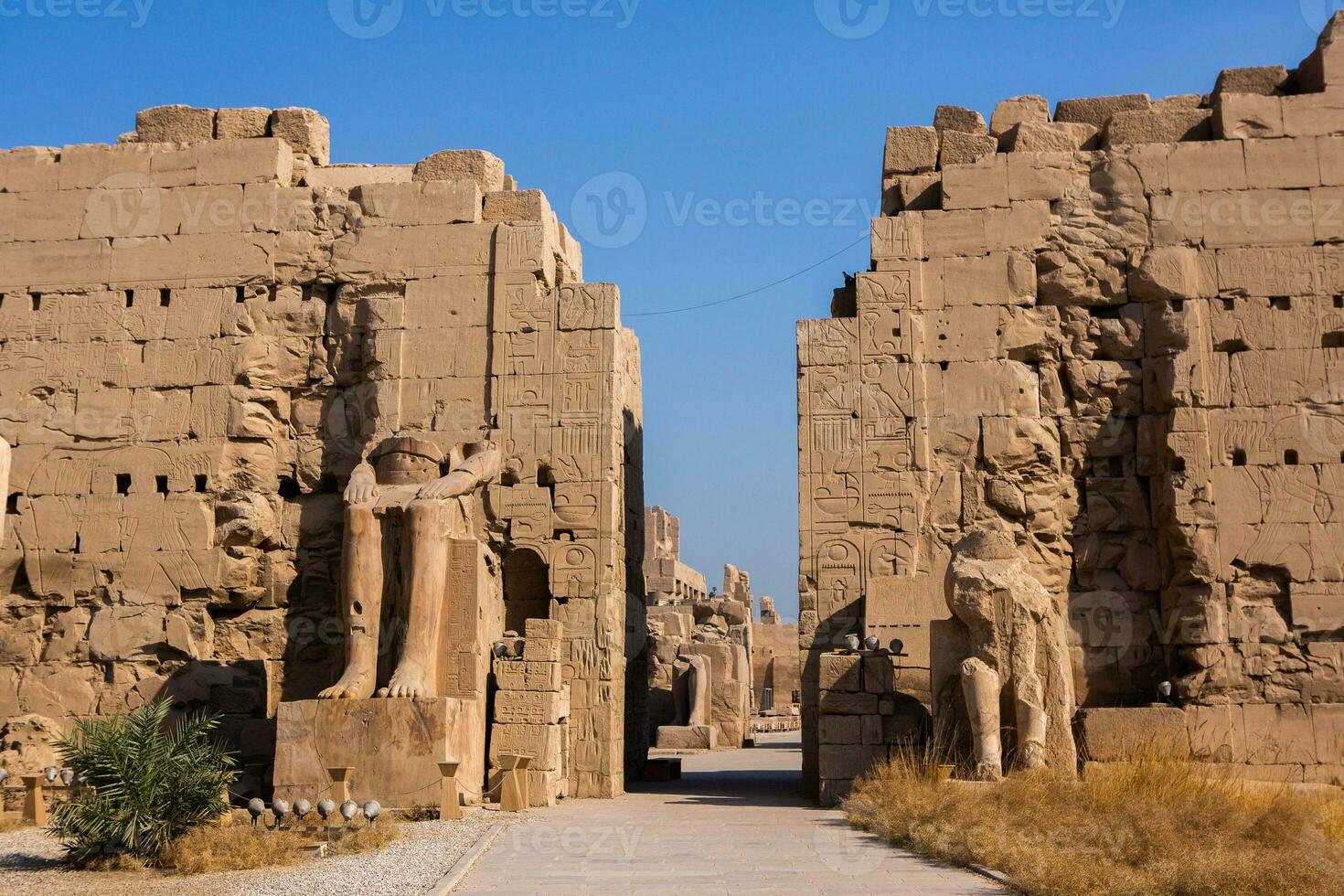 Dendera Temple complex in Egypt. Hieroglypic carvings on wall at the ancient egyptian temple. photo