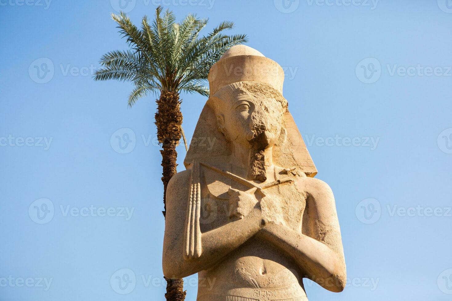 Dendera Temple complex in Egypt. Hieroglypic carvings on wall at the ancient egyptian temple. photo